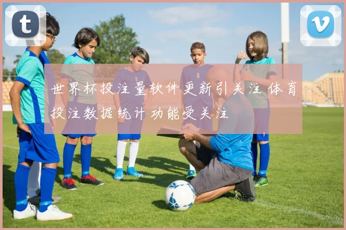 世界杯投注量软件更新引关注 体育投注数据统计功能受关注