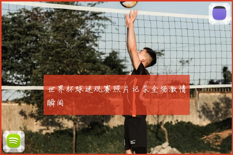 世界杯球迷观赛照片记录全场激情瞬间