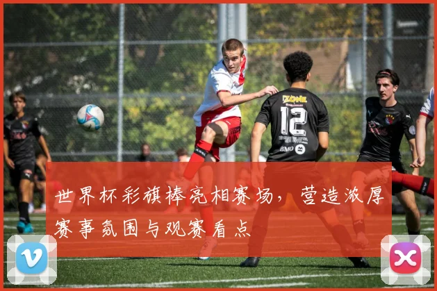 世界杯彩旗棒亮相赛场，营造浓厚赛事氛围与观赛看点
