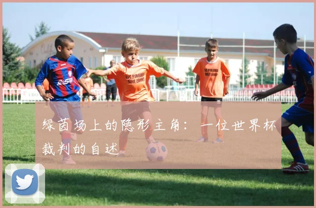 绿茵场上的隐形主角:一位世界杯裁判的自述