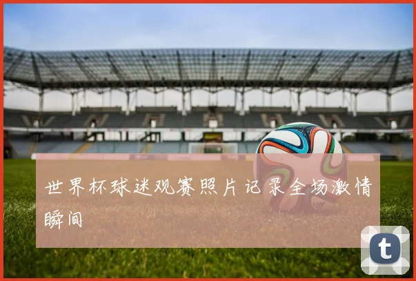 世界杯球迷观赛照片记录全场激情瞬间