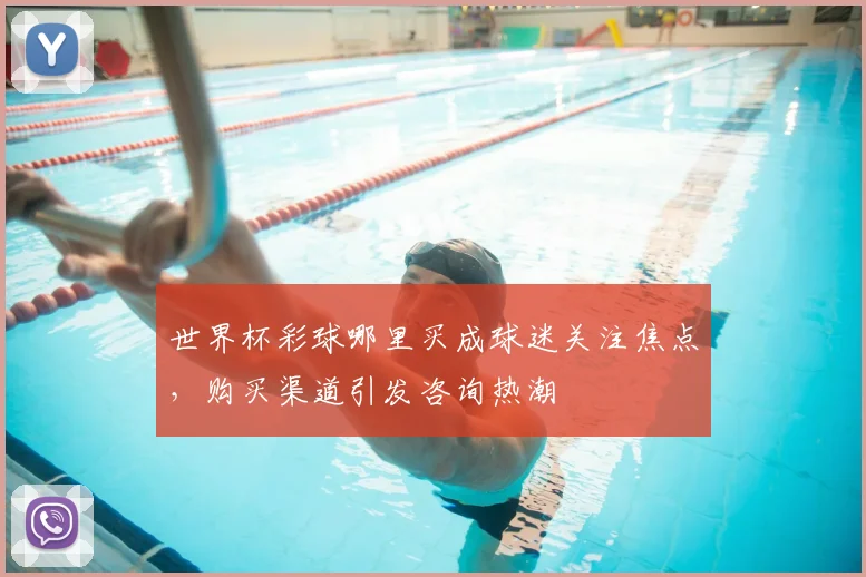 世界杯彩球哪里买成球迷关注焦点，购买渠道引发咨询热潮