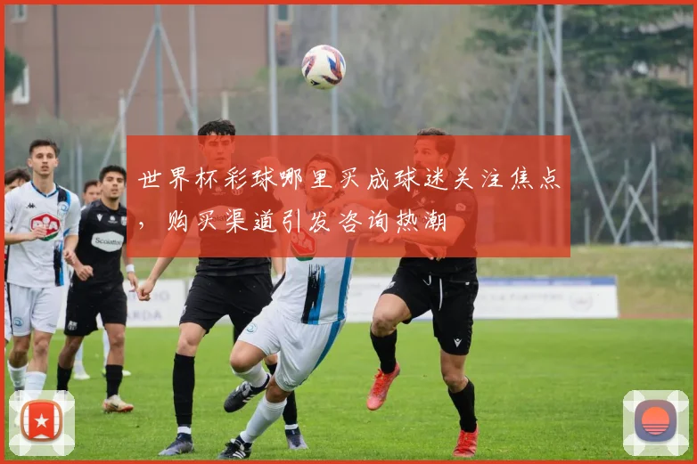 世界杯彩球哪里买成球迷关注焦点，购买渠道引发咨询热潮