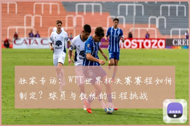独家专访：WTT世界杯决赛赛程如何制定？球员与教练的日程挑战