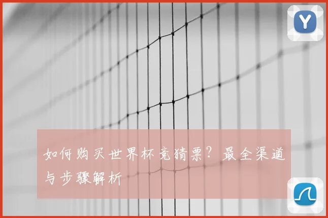 如何购买世界杯竞猜票？最全渠道与步骤解析