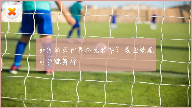 如何购买世界杯竞猜票?最全渠道与步骤解析