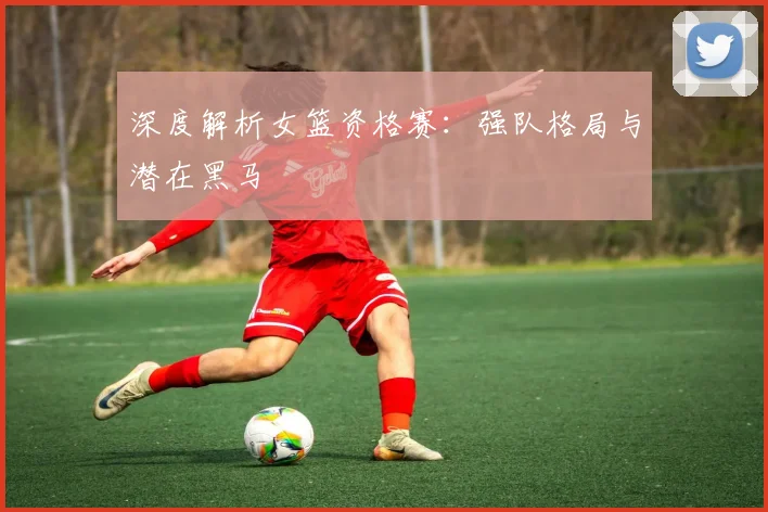 深度解析女篮资格赛:强队格局与潜在黑马